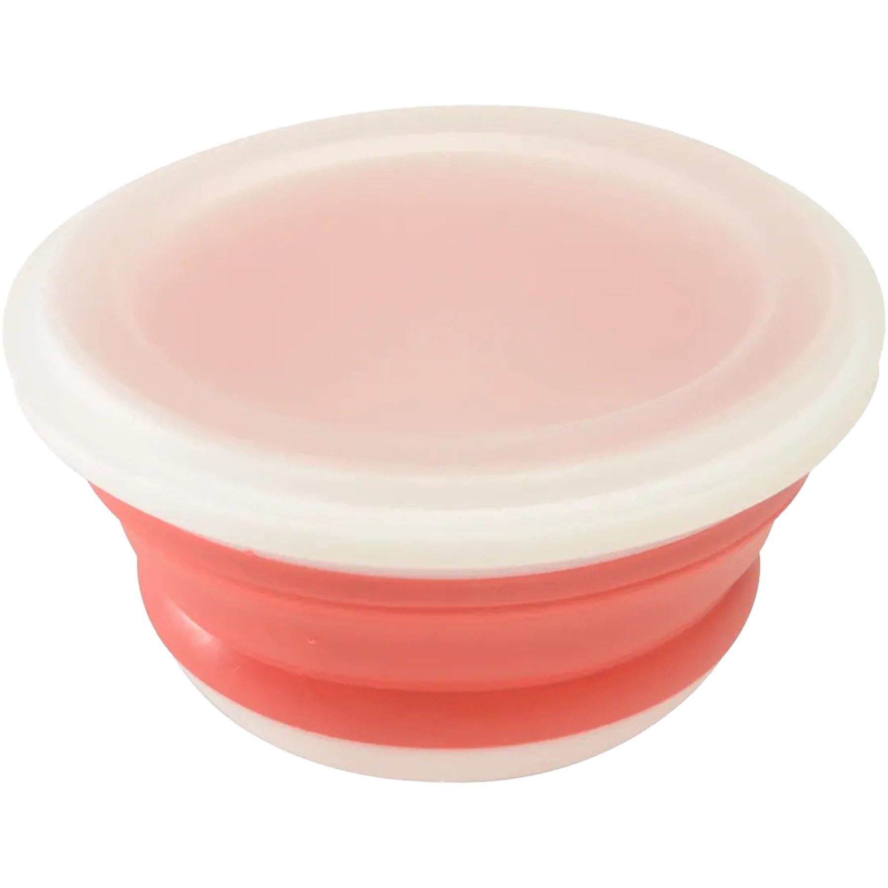 Flexible Collapsible Bowl 2