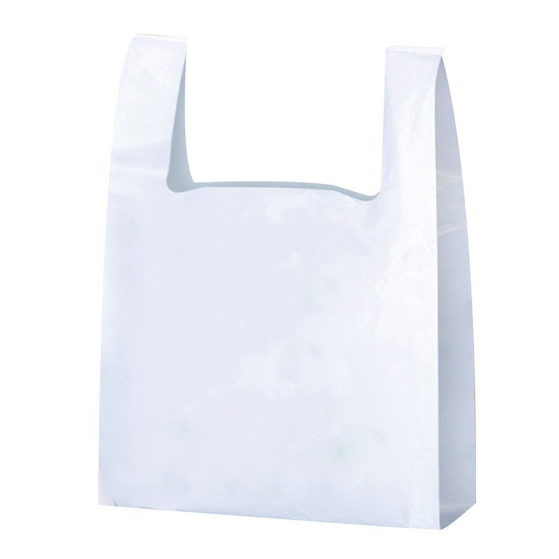 Sustainable Biodegradable Shopping Bags 2