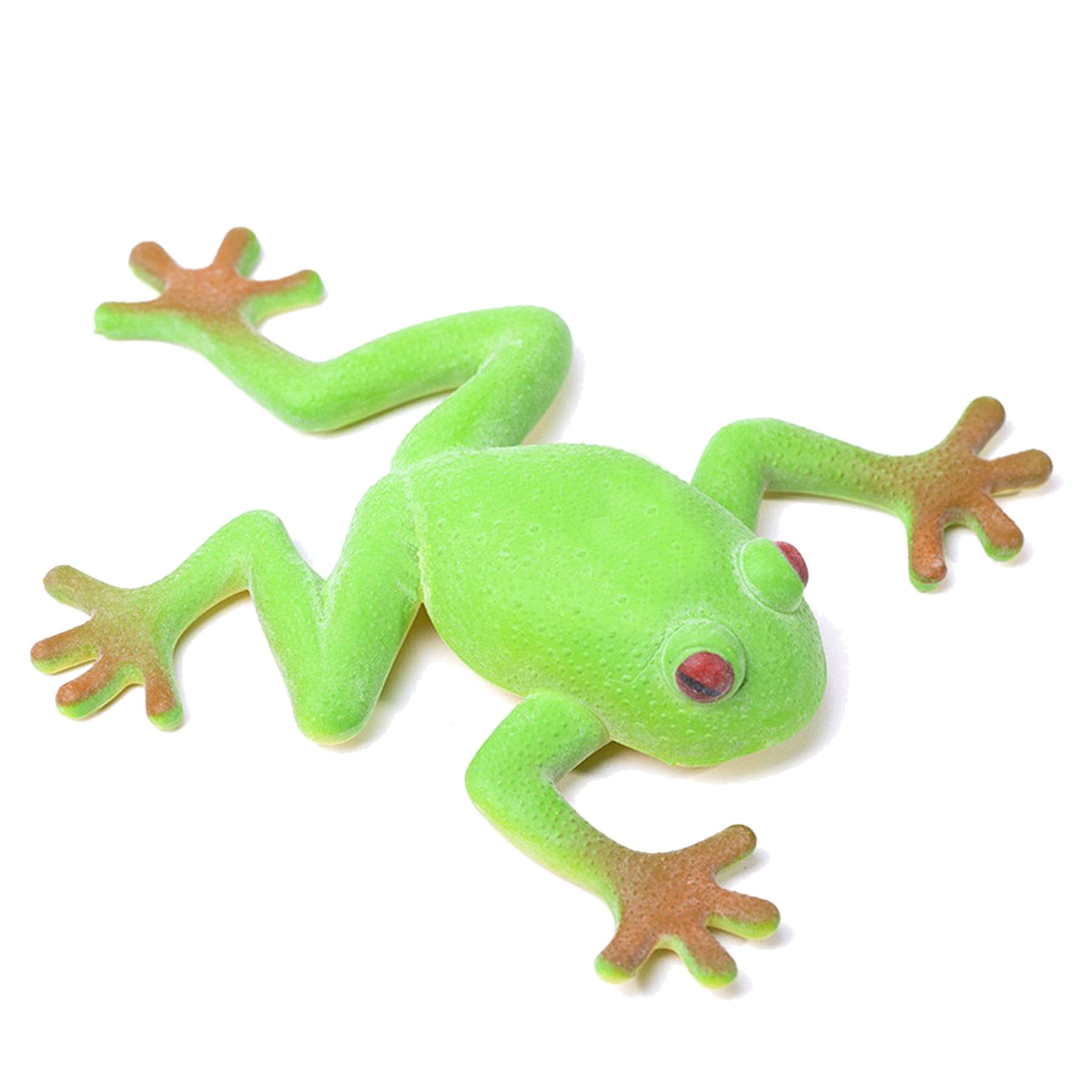 Frog Stress Relief Toy 2