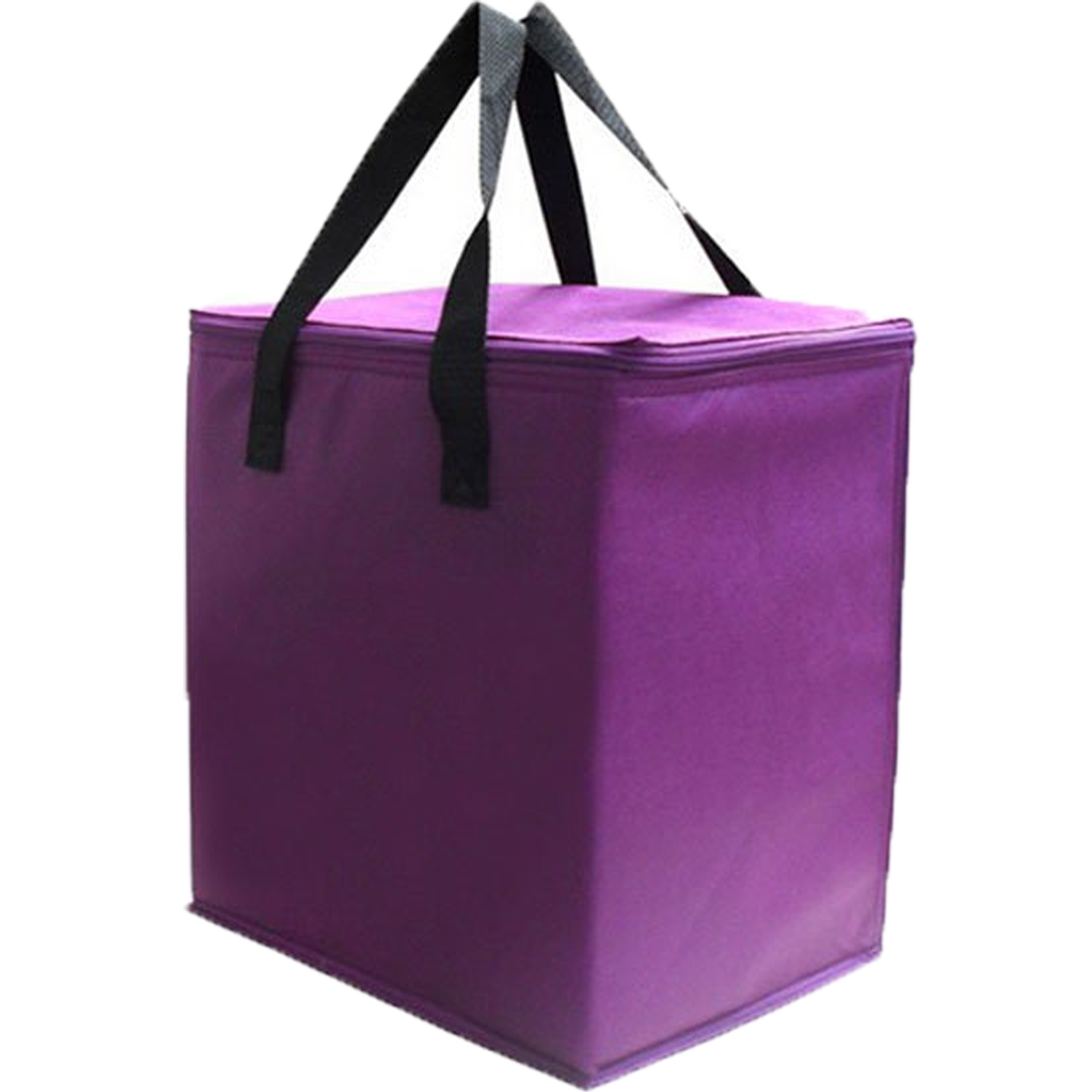 Versatile Insulated Tote 2