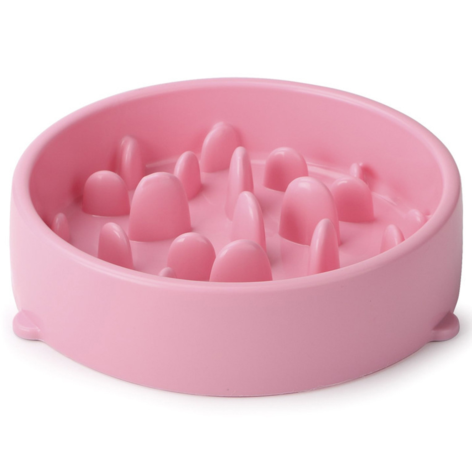 Pet Wellness Feeding Dish 2
