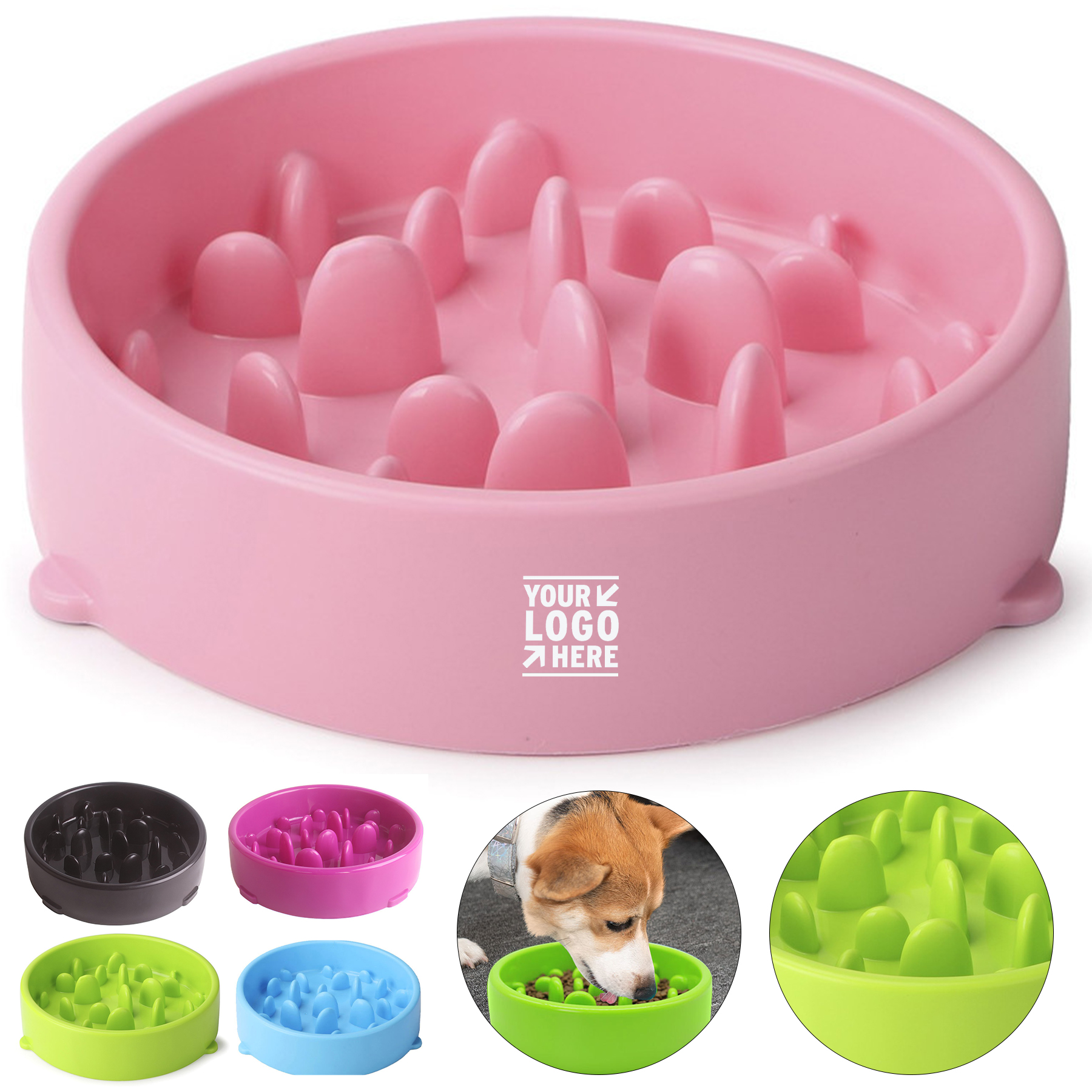 Pet Wellness Feeding Dish