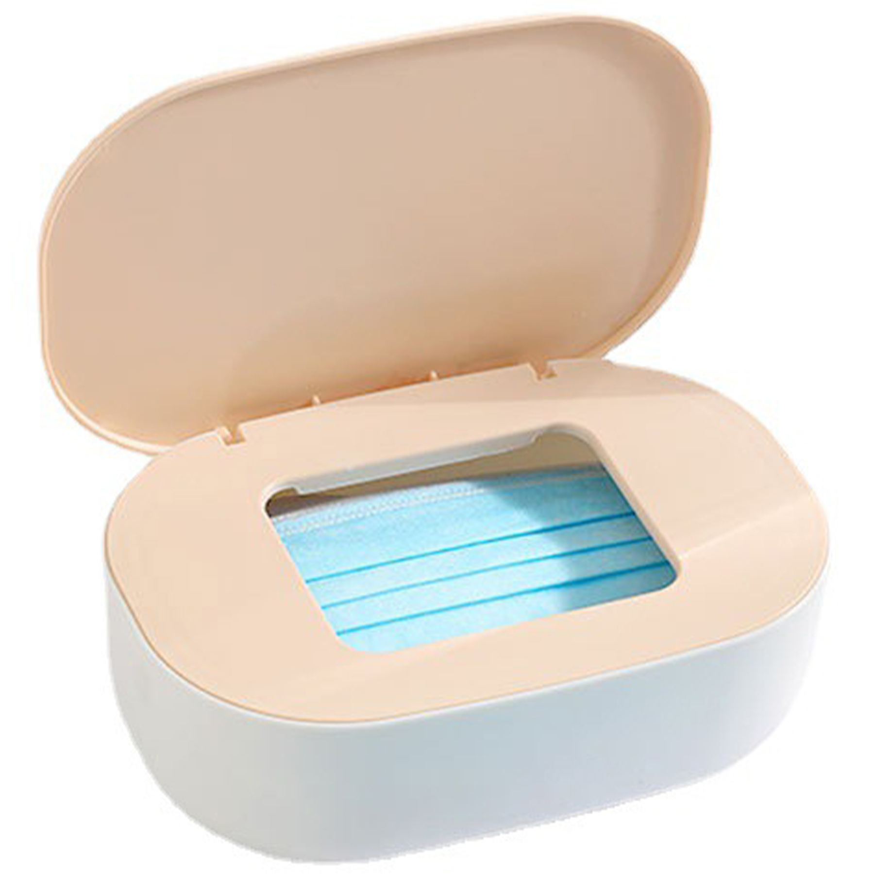 Reusable Mask Organizer 2