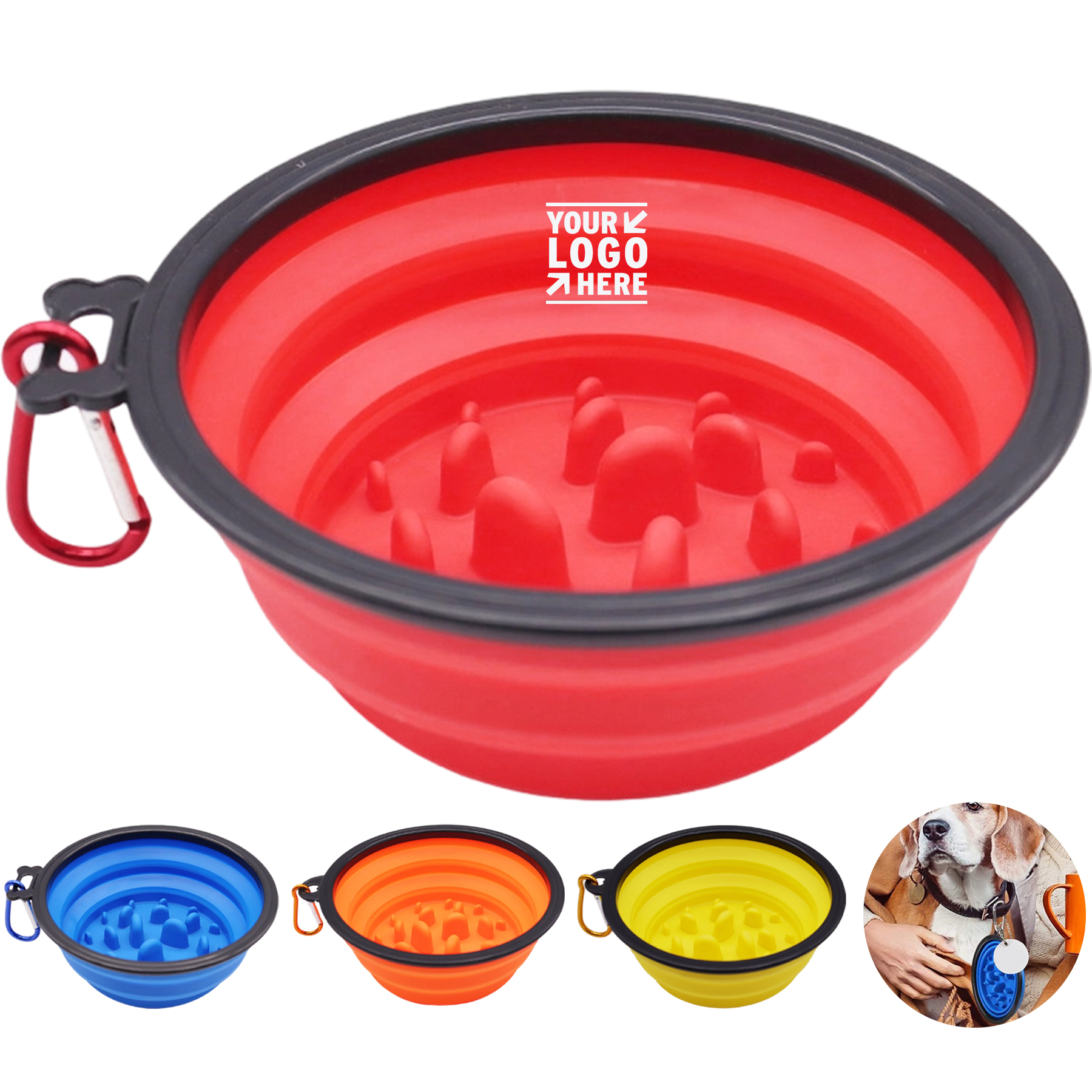 Portable Foldable Pet Bowl